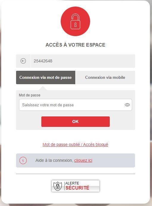Fenêtre d'authentification (ou page d'authentification), le choix de connexion via mot de passe à la suite du champ d'identifiant